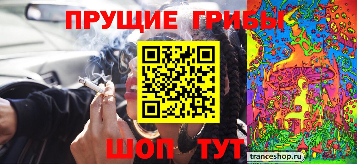 Псилоцибиновые грибы GOLDEN TEACHER Прохладный